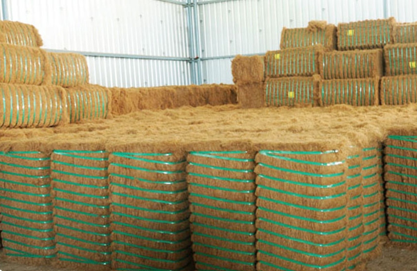 Coir Fiber Bales Warehouse