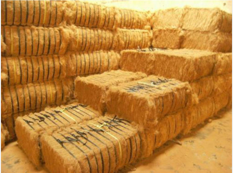 Real compressed coir fiber bale stack